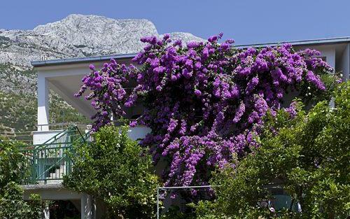 Casa  Marta – Alloggio Baska Voda Croazia