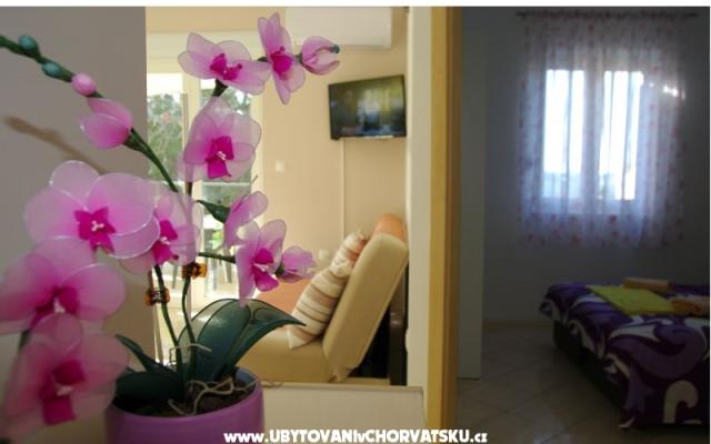 Appartamenti Lovre – Alloggio Bibigne Croazia