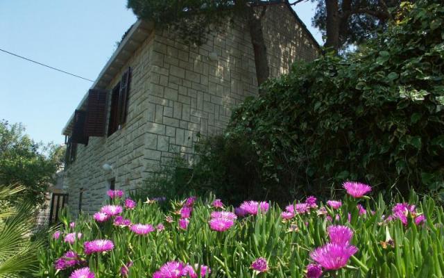 Villa Santa Lucia – Alloggio Isola di Brac Croazia