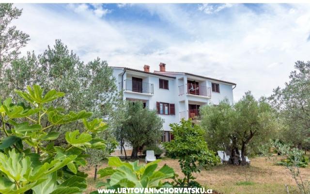Appartamenti Amalia Fažana – Alloggio Fasana Croazia