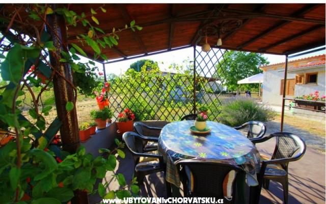 Appartamento Sandra  – Alloggio Fasana Croazia
