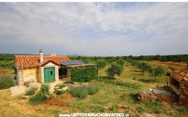 Olive Garden Paljka – Alloggio St. Filip e Jakov Croazia