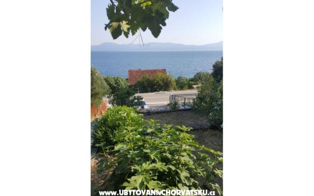 Casa Maslina – Alloggio Gradac – Podaca Croazia
