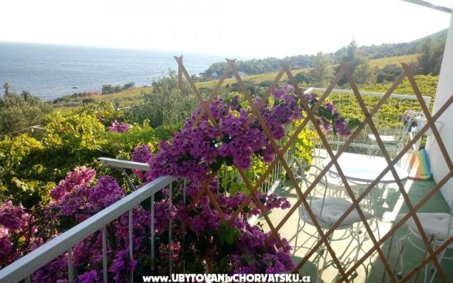 ART AND NATURE  – Alloggio Isola di Hvar Croazia