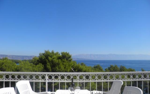Appartamenti Martin Reljanović – Alloggio Isola di Hvar Croazia