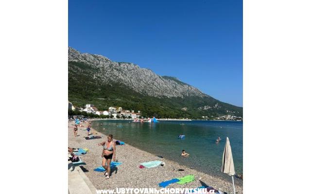Appartamentoa LoTe – Alloggio Igrane Croazia
