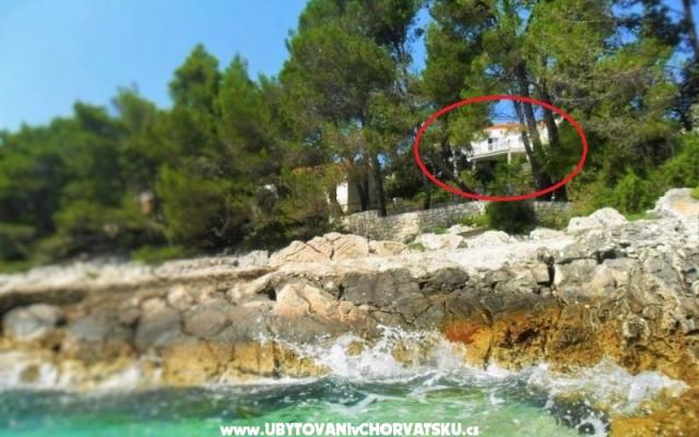 Appartamenti Marica P. – Alloggio Isola di Korcula Croazia