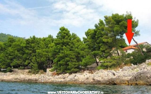 Case vacanza Villa Antea – Alloggio Isola di Korcula Croazia
