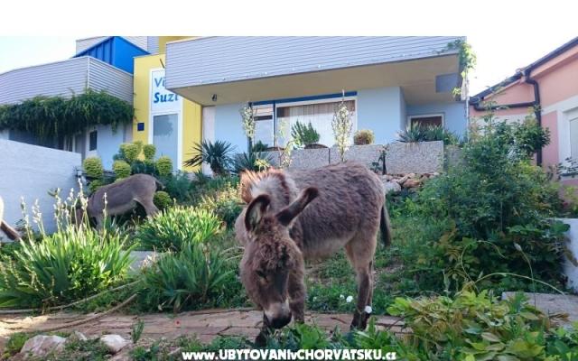 Villa Suzi – Alloggio Kraljevica Croazia