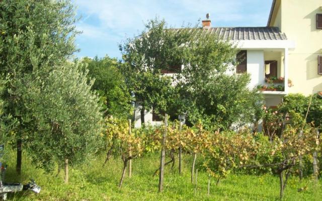 Appartamenti Vasilić – Alloggio Isola di Krk Croazia