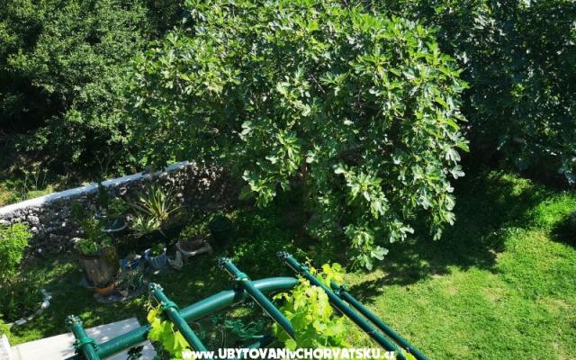 Appartamenti Garden paradise – Alloggio Makarska Croazia