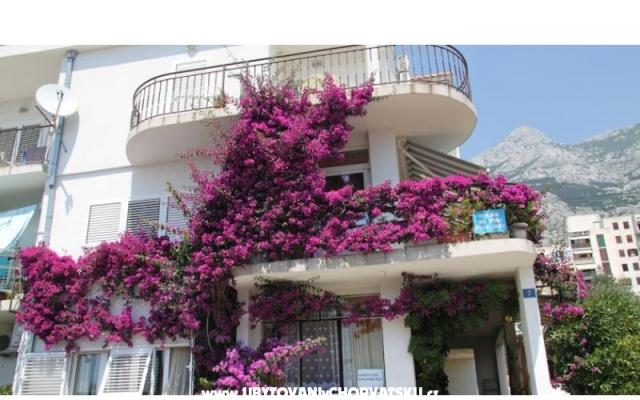 Appartamenti ANTE – Alloggio Makarska Croazia