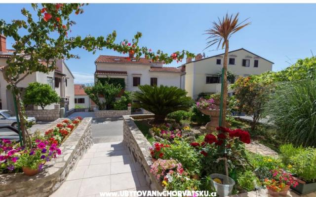 Appartamenti Avvi – Alloggio Mali Losinj Croazia