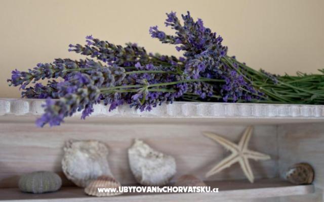 Appartamento Villa Merara – Alloggio Marina Croazia