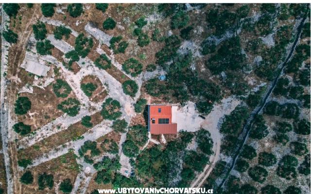 Green Casa (Dogs are welcome) – Alloggio Marina Croazia