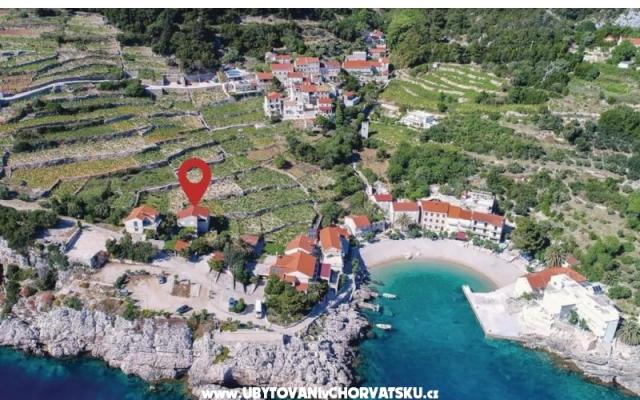 Two olive trees – Alloggio Orebic Croazia
