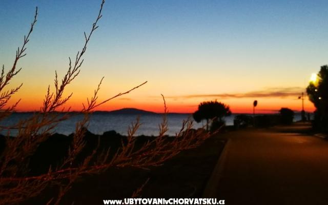 Appartamenti Elenor – Alloggio Isola di Pag Croazia