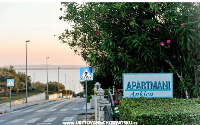 Appartamenti Ankica – Alloggio Petrcane Croazia
