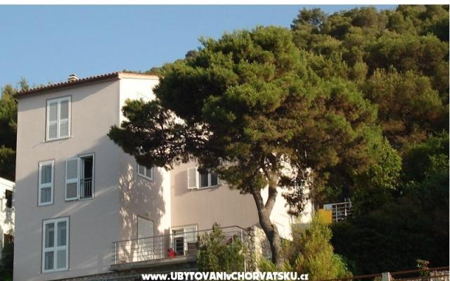 Vila Andrea – Alloggio Primosten Croazia