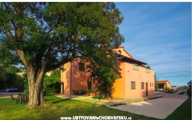 Appartamenti Viktor – Alloggio Pola Croazia