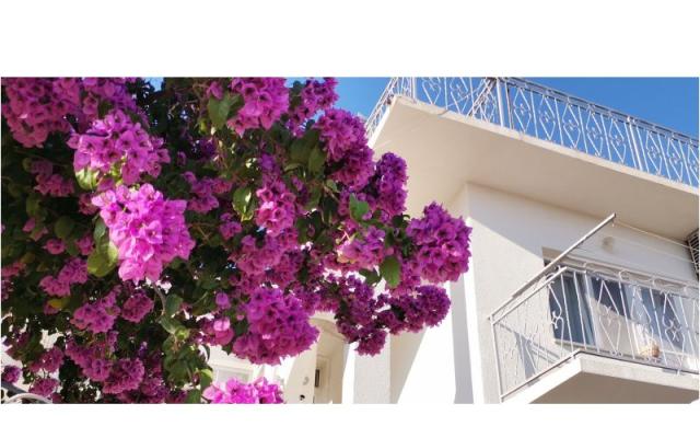 Appartamento Mare – Alloggio Sibenik Croazia