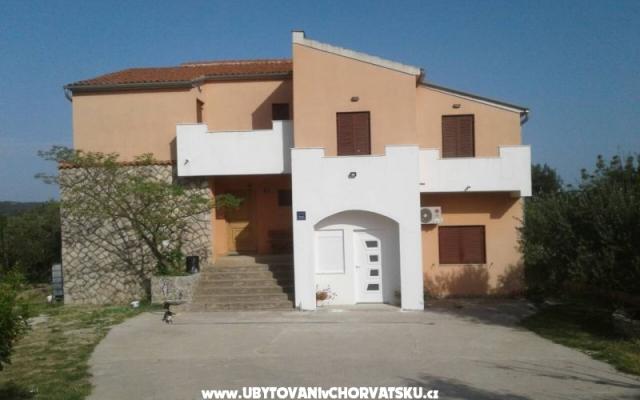 Dalmatian – Alloggio Sibenik Croazia