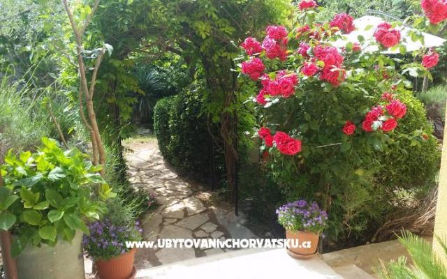 Vila Arboretum Šibenik – Alloggio Sibenik Croazia