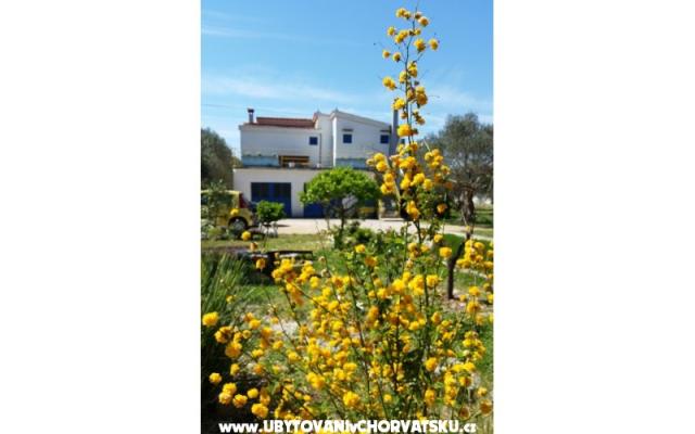 Appartamento Marin – Alloggio Sveti Petar Croazia