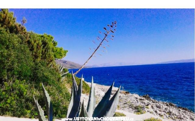 Goga Appartamenti – Alloggio Trogir Croazia
