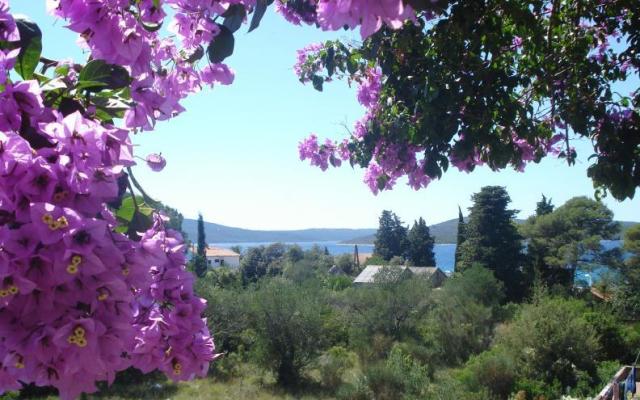 Appartamenti Branko Vidaković – Alloggio Isola di Ugliano Croazia
