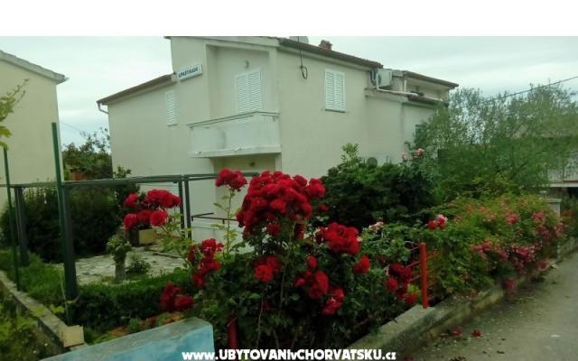 Appartamenti Tomislav – Alloggio Isola di Ugliano Croazia