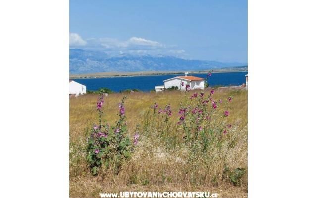 Appartamenti Mišković – Alloggio Isola di Vir Croazia