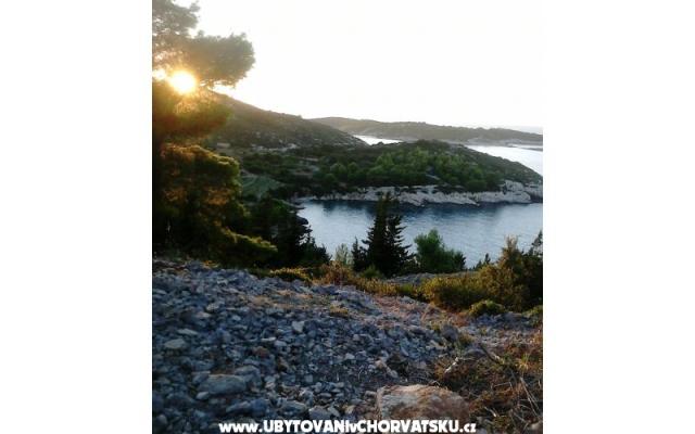 Appartamenti Bilić – Alloggio Isola di Vis Croazia