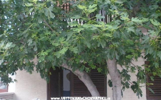 Appartamenti  Smokva   – Alloggio Vodice Croazia