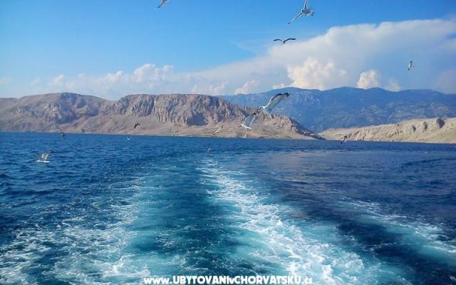 Appartamenti Joso i Stanka – Alloggio Zadar Croazia
