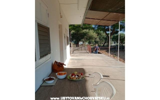 Appartamento Viter – Alloggio Zaostrog Croazia