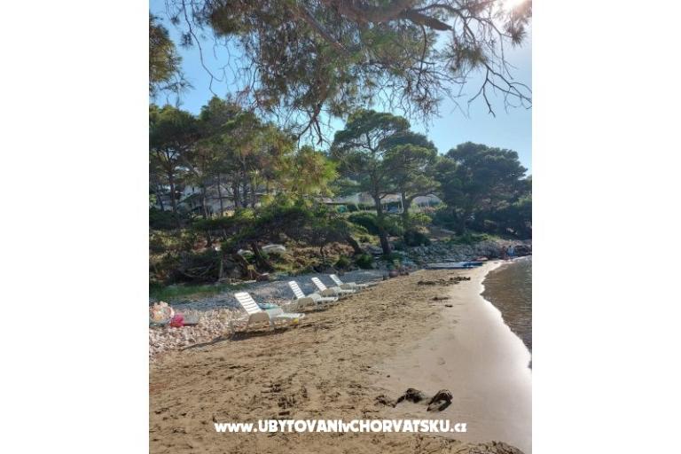Appartamenti Ivo Mljet – foto 8