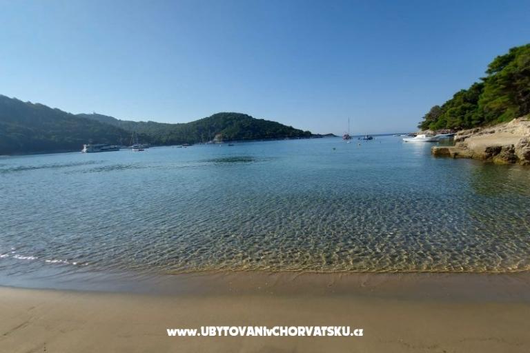 Appartamenti Ivo Mljet – foto 9