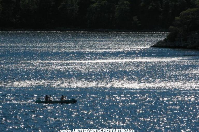 Appartamenti Strazicic – foto 7