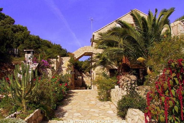 Appartamenti Radulj – foto 6