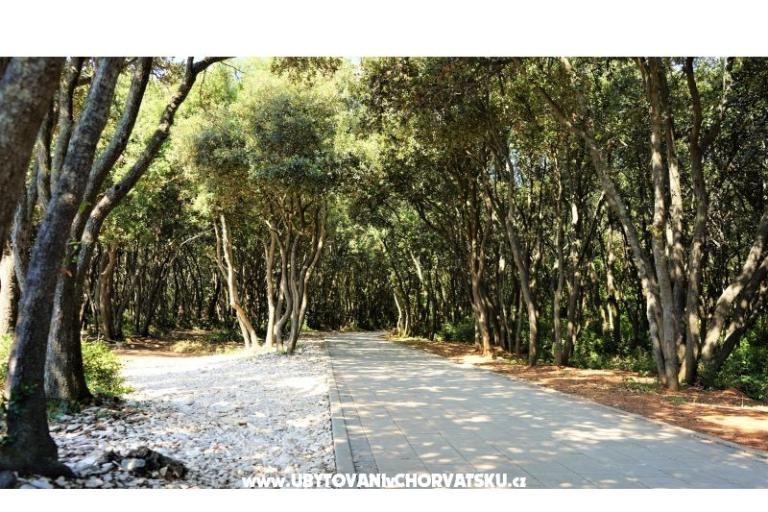 Appartamenti Lisicak – foto 8