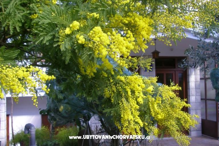 Appartamenti Bašković – foto 17
