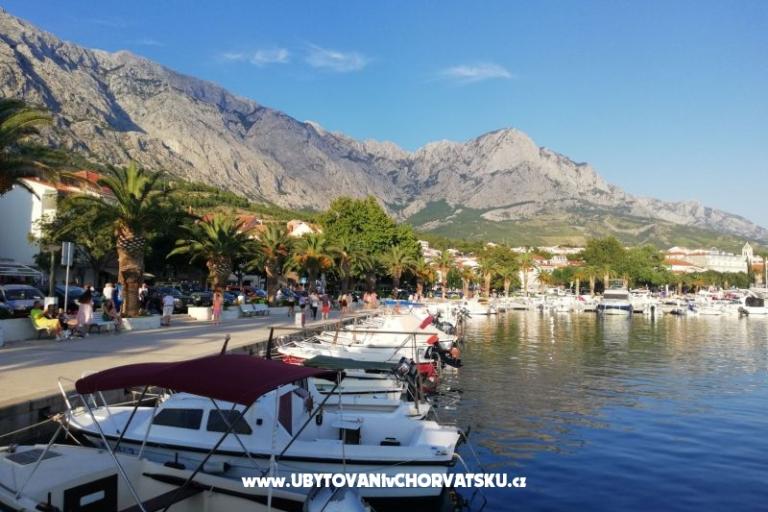 Appartamenti Divić - Villa Mateo  – foto 17