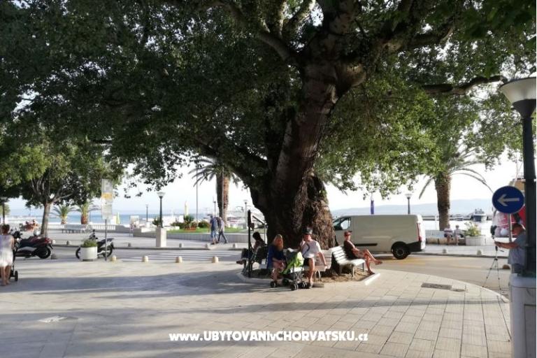 Appartamenti Divić - Villa Mateo  – foto 18