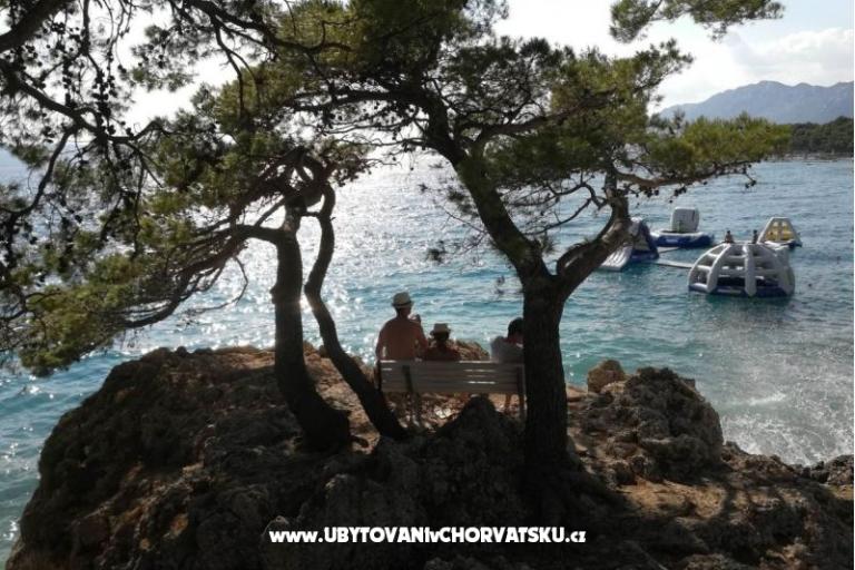 Appartamenti Divić - Villa Mateo  – foto 30
