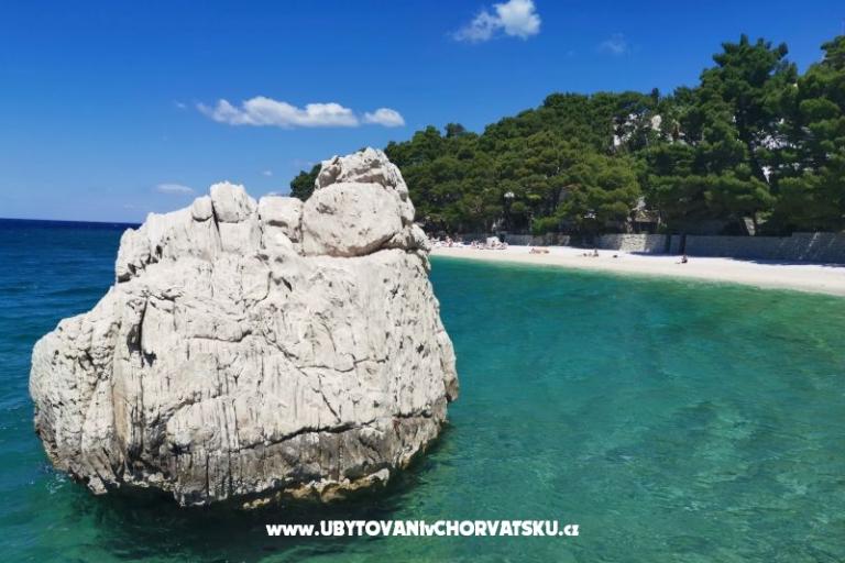 Appartamenti Divić - Villa Mateo  – foto 32