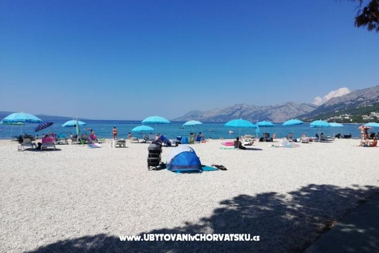 Appartamenti Divić - Villa Mateo  – foto 40
