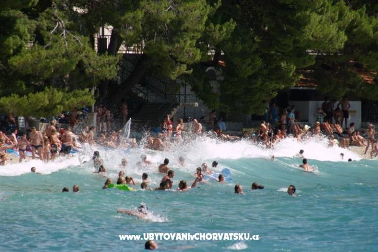 Appartamenti i sobe PAULA – foto 9