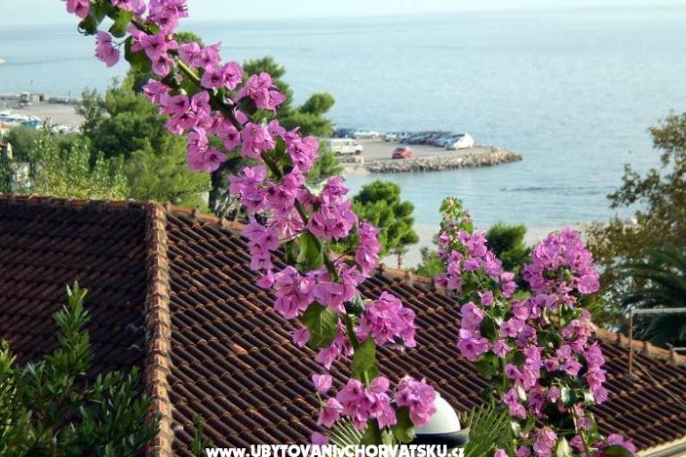 Appartamenti Jurišić – foto 17