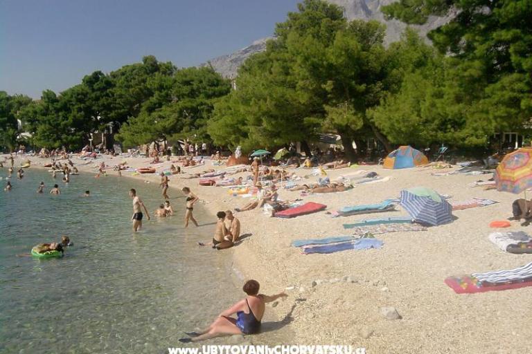 Appartamenti Marin – foto 16